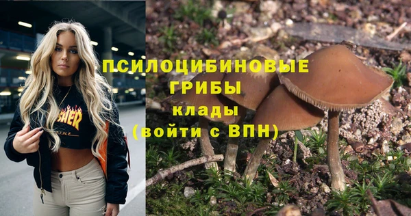 прущие крисы Алексин