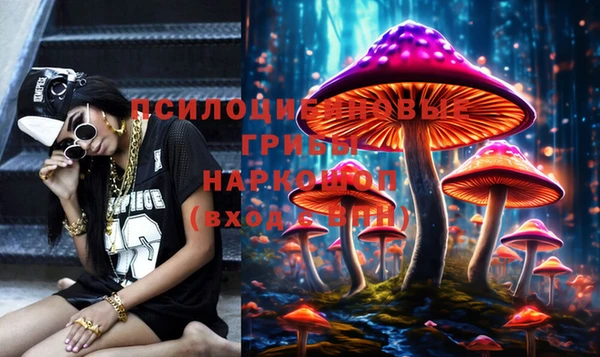 гидропоника Абаза
