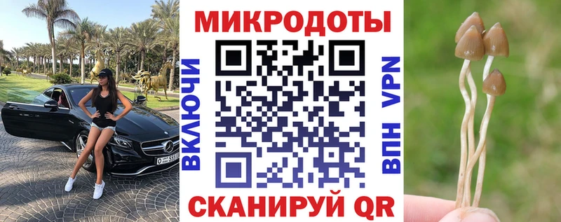 цена наркотик Миллерово Галлюциногенные грибы мицелий